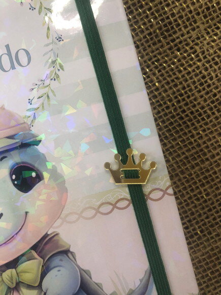 Caderneta de Saúde / Vacinação Personalizada - Dinossauro