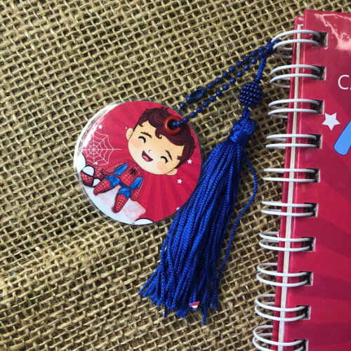 Caderneta de Saúde / Vacinação Personalizada Homem Aranha