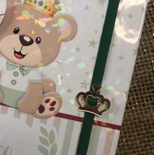 Caderneta de Saúde / Vacinação Personalizada Urso Príncipe