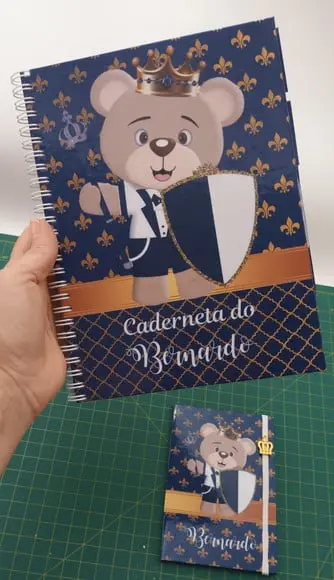 Caderneta Vacinação Bernardo Ursinho Rei