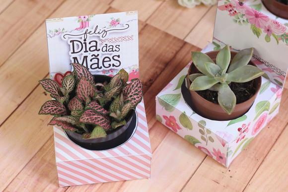 Porta Mini Suculenta Dia das Mães