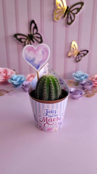 Saia e Tag para Mini Suculenta Dia das Mães