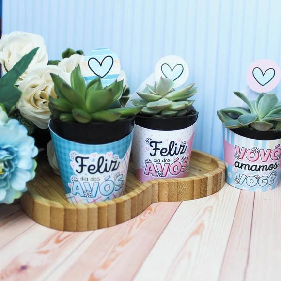Saia e Tag para Mini Suculenta Dia dos Avos