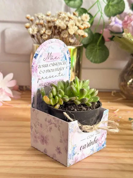 Porta Suculenta Dia das Mães