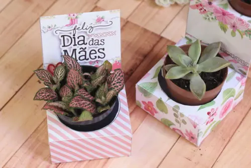 Porta Mini Suculenta Dia das Mães