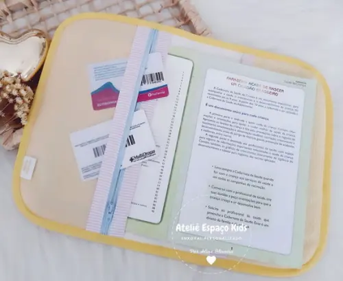 Capa para Caderneta de Vacinas e Necessaire do Bebê