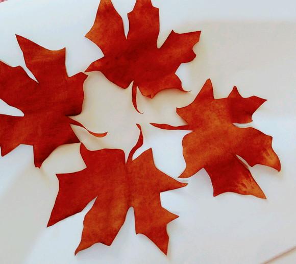 Folhas de outono para decoração em geral