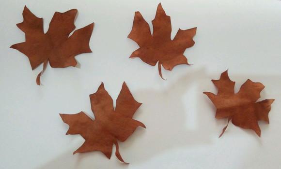 Folhas de outono para decoração em geral