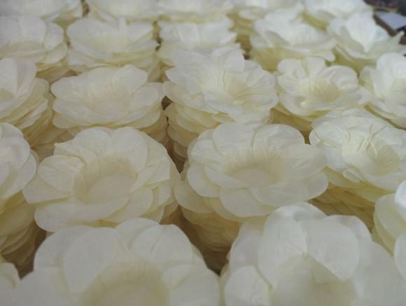 Forminha para Casamento Consulte a Tabela de Cores!!!