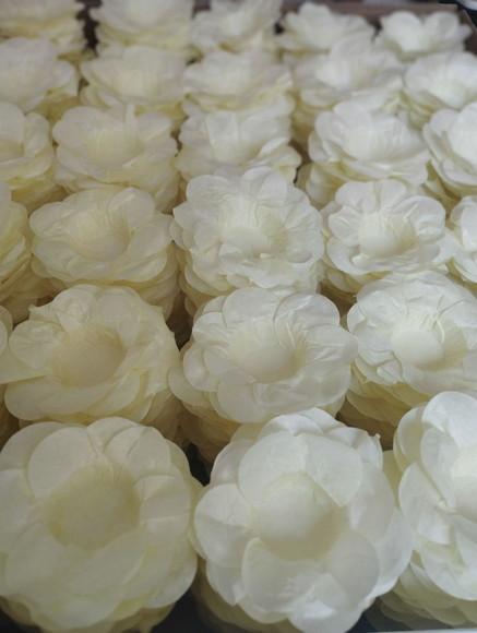 Forminha para Casamento Consulte a Tabela de Cores!!!