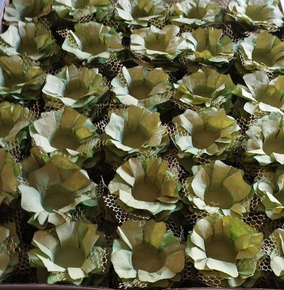 Forminha Para Doce