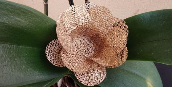 Forminhas para Doces