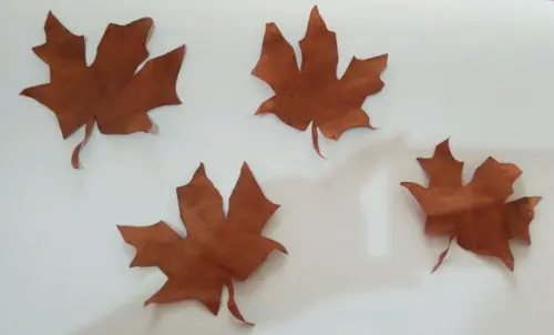 Folhas de outono para decoração em geral