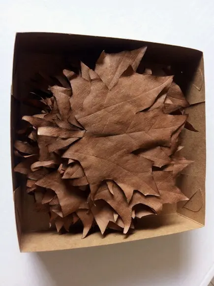 Folhas de outono para decoração em geral