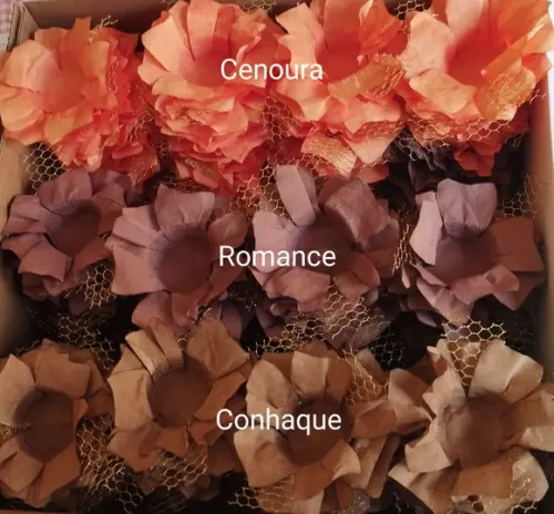 Forminha Casamento.aproveite!!!