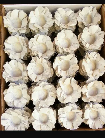 Forminha de doce.Aproveite!!!