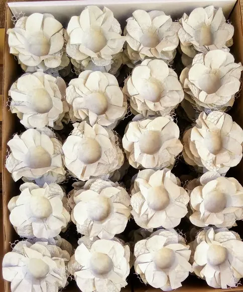 Forminha para Casamento