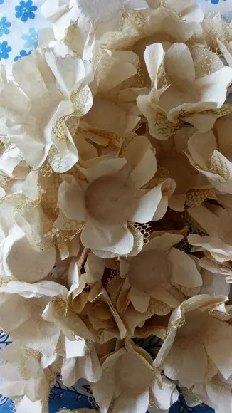 Forminha para Casamento