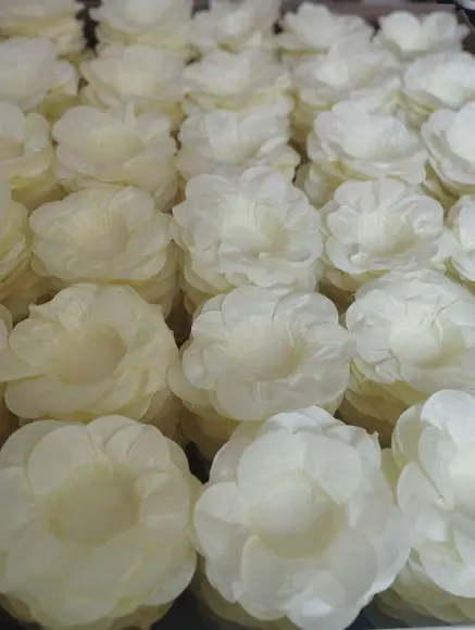Forminha para Casamento Consulte a Tabela de Cores!!!