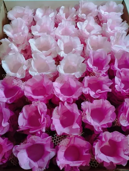 Forminha para Casamento Consulte a Tabela de Cores!!!