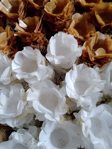 Forminha para Casamento Consulte a Tabela de Cores!!!