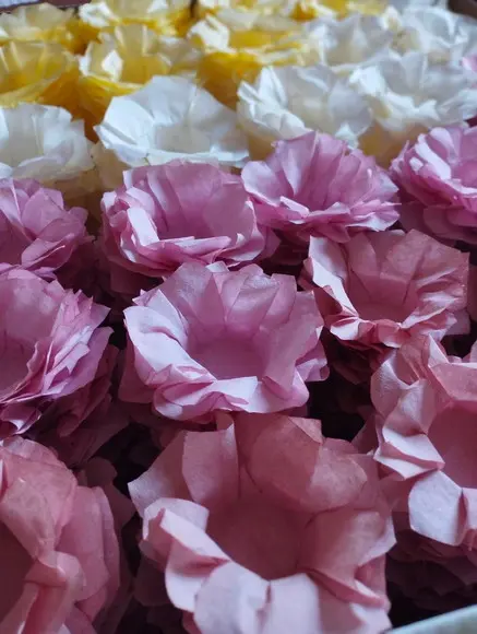 Forminha para Casamento Consulte a Tabela de Cores!!!