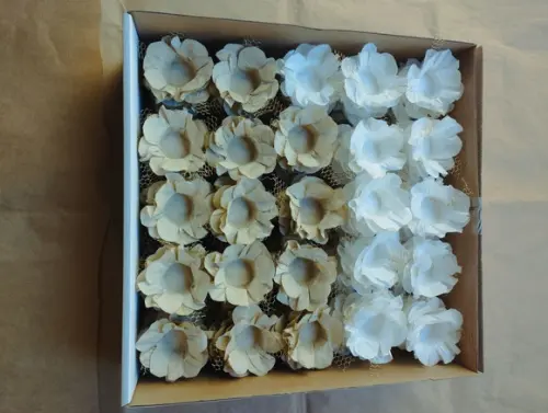 Forminha para Casamento Consulte a Tabela de Cores!!!