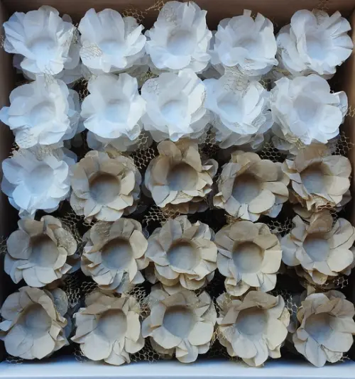 Forminha para Casamento Consulte a Tabela de Cores!!!
