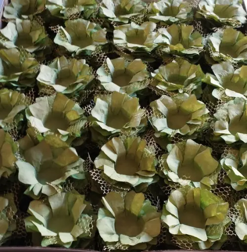 Forminha Para Doce