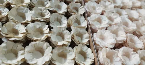 Forminha para Doce Todas as Cores!!! Aproveite!!!