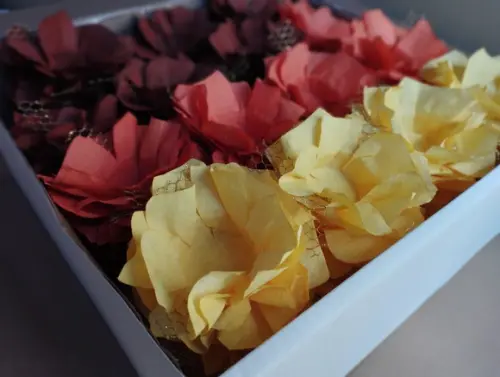 Forminha para Doce Todas as Cores!!! Aproveite!!!