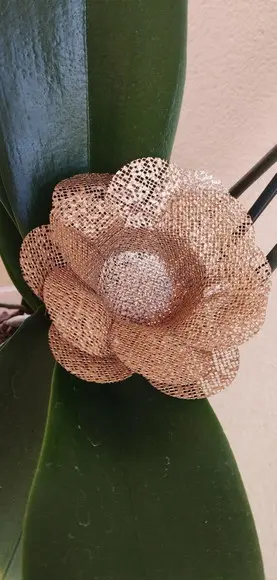 Forminhas para Doces