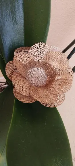 Forminhas para Doces