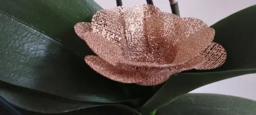 Forminhas para Doces