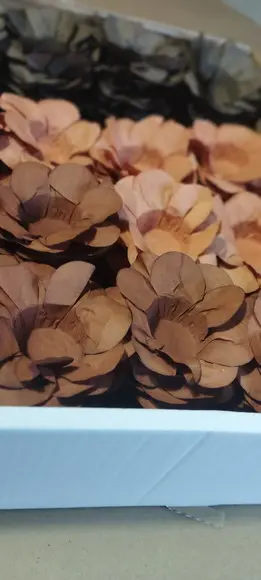 Forminhas para Doces