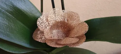Forminhas para Doces