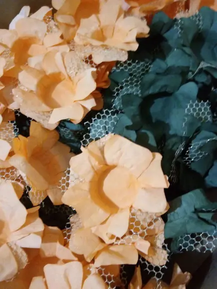Forminhas para Doces