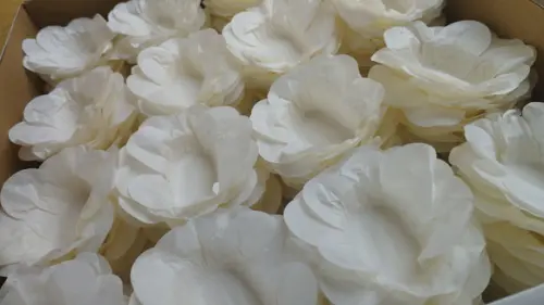 Forminhas para Doces Finos Casamento Camafeu Festa Branca