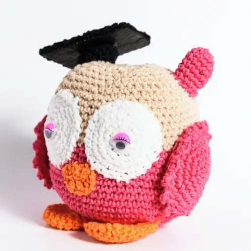 Coruja Formanda em Amigurumi