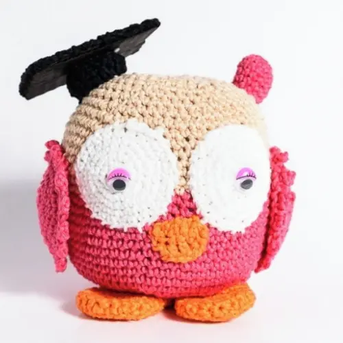 Coruja Formanda em Amigurumi