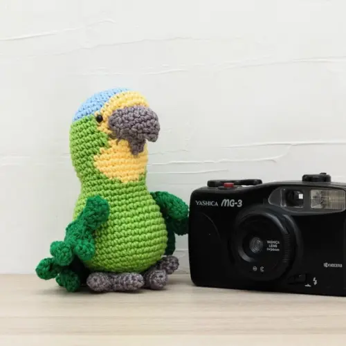 Papagaio Médio em Amigurumi