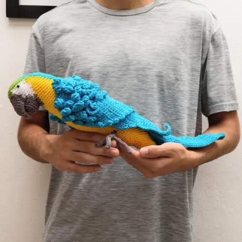 Arara Canindé de Cores Vivas em Amigurumi