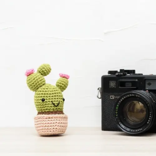 Cactus com Flor em Amigurumi