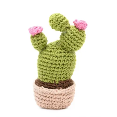 Cactus com Flor em Amigurumi