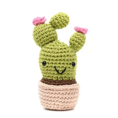 Cactus com Flor em Amigurumi