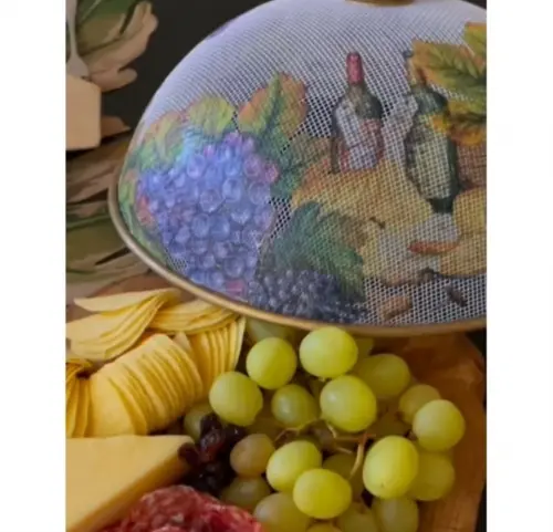 Cobre alimentos aramado com decoupage artesanal (25 cm) somente a