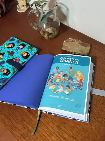 Caderneta de Vacinação Infantil