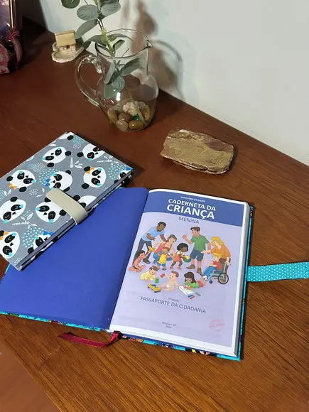 Caderneta de Vacinação Infantil