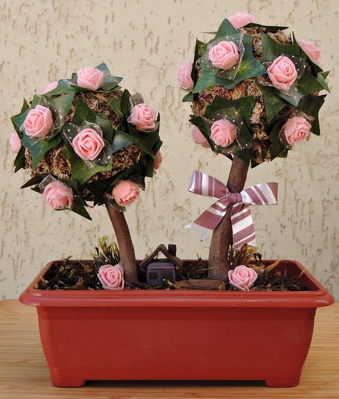 Topiaria Dupla