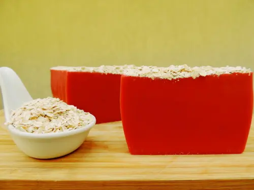 Barra Especial Aveia e Frutas Vermelhas